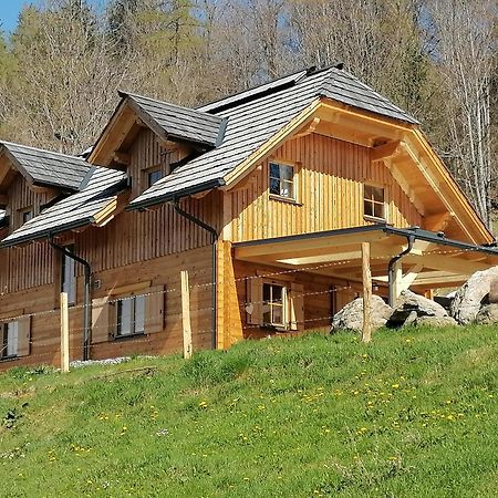 Laerchenhaus ,,Unterer Brodl" Villa Sankt Peter am Kammersberg Kültér fotó