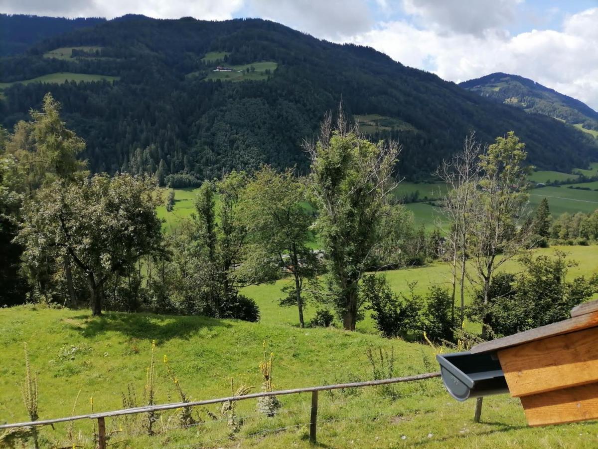 Laerchenhaus ,,Unterer Brodl" Villa Sankt Peter am Kammersberg Kültér fotó