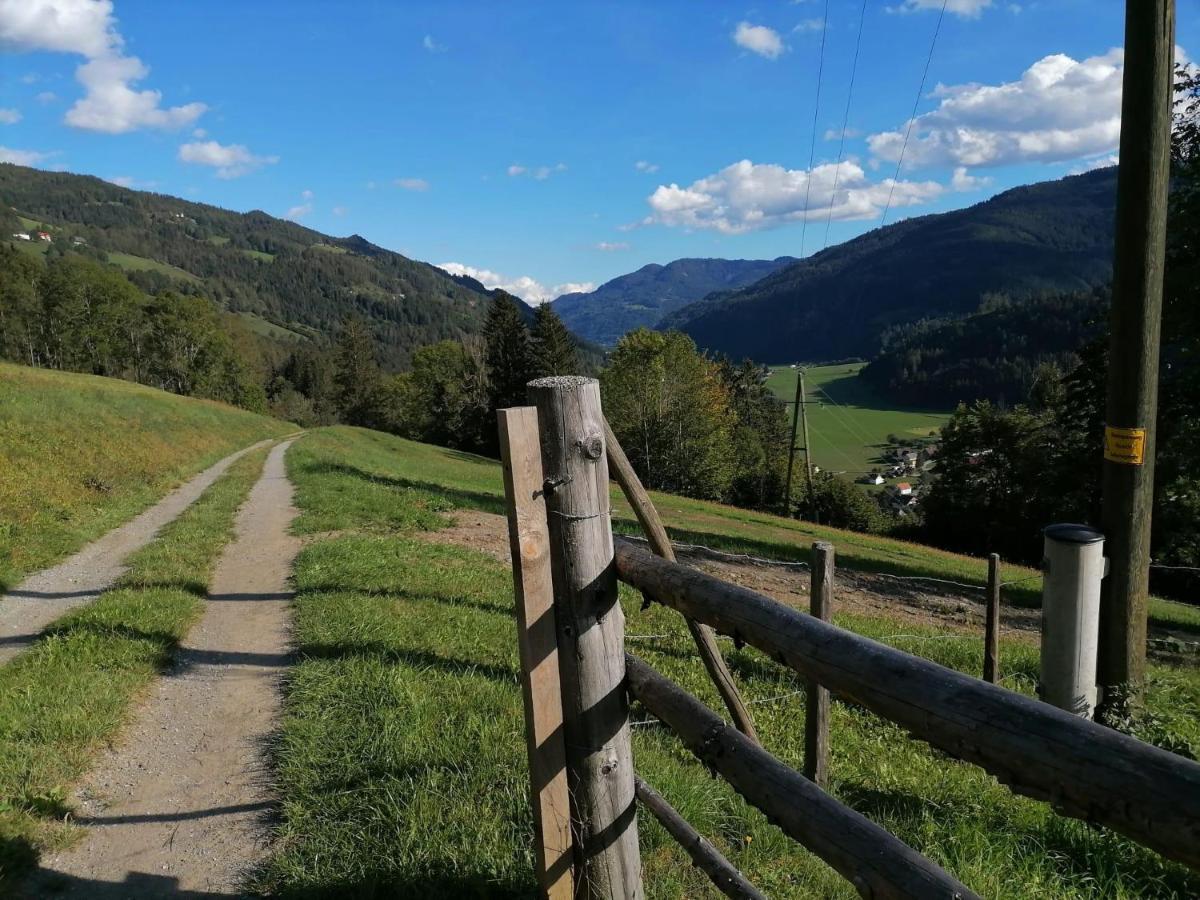 Laerchenhaus ,,Unterer Brodl" Villa Sankt Peter am Kammersberg Kültér fotó
