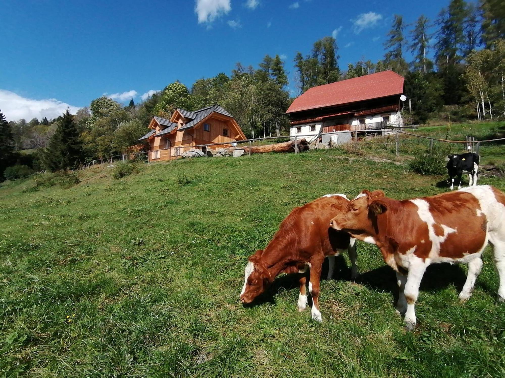 Laerchenhaus ,,Unterer Brodl" Villa Sankt Peter am Kammersberg Kültér fotó