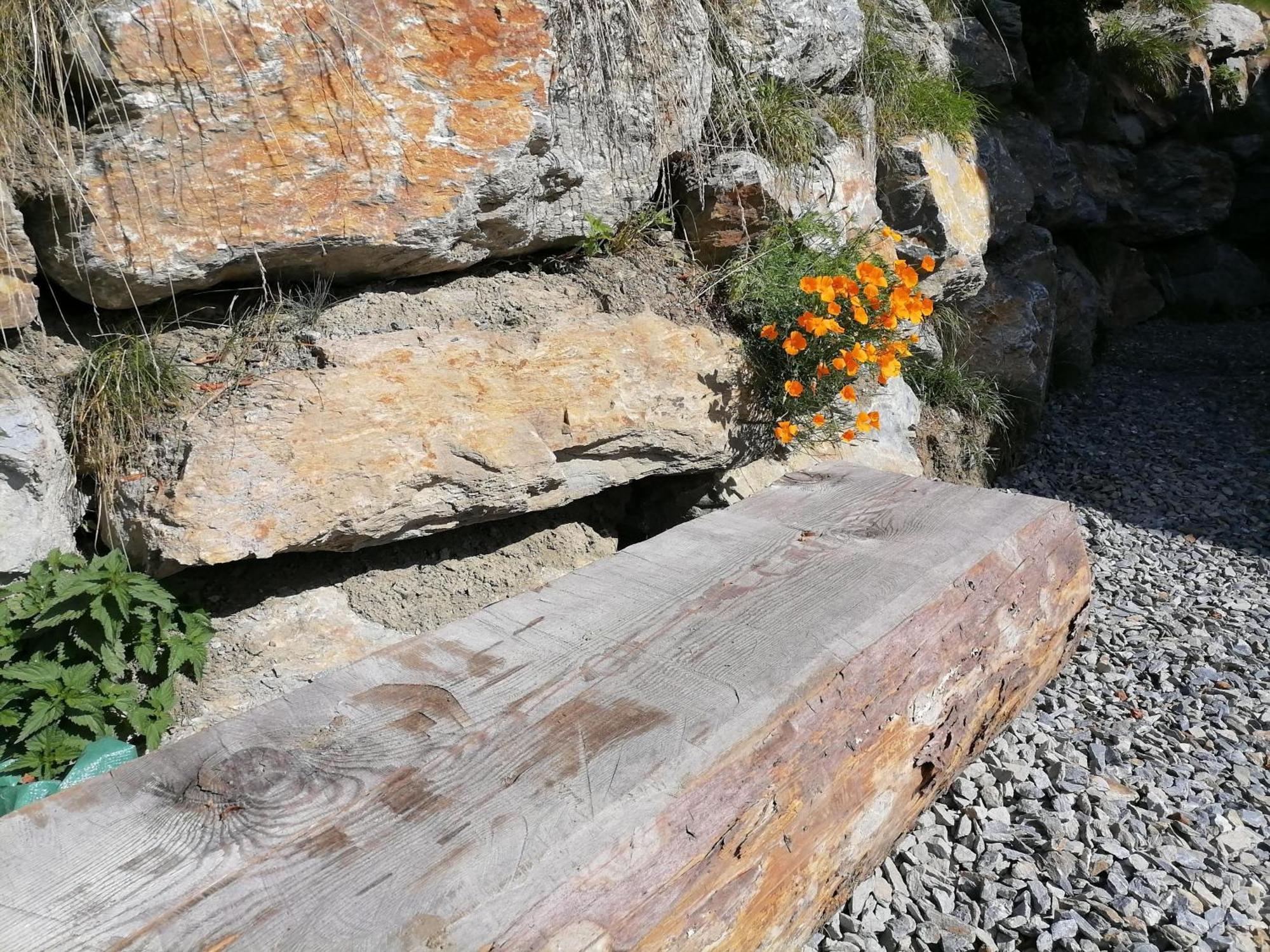Laerchenhaus ,,Unterer Brodl" Villa Sankt Peter am Kammersberg Kültér fotó