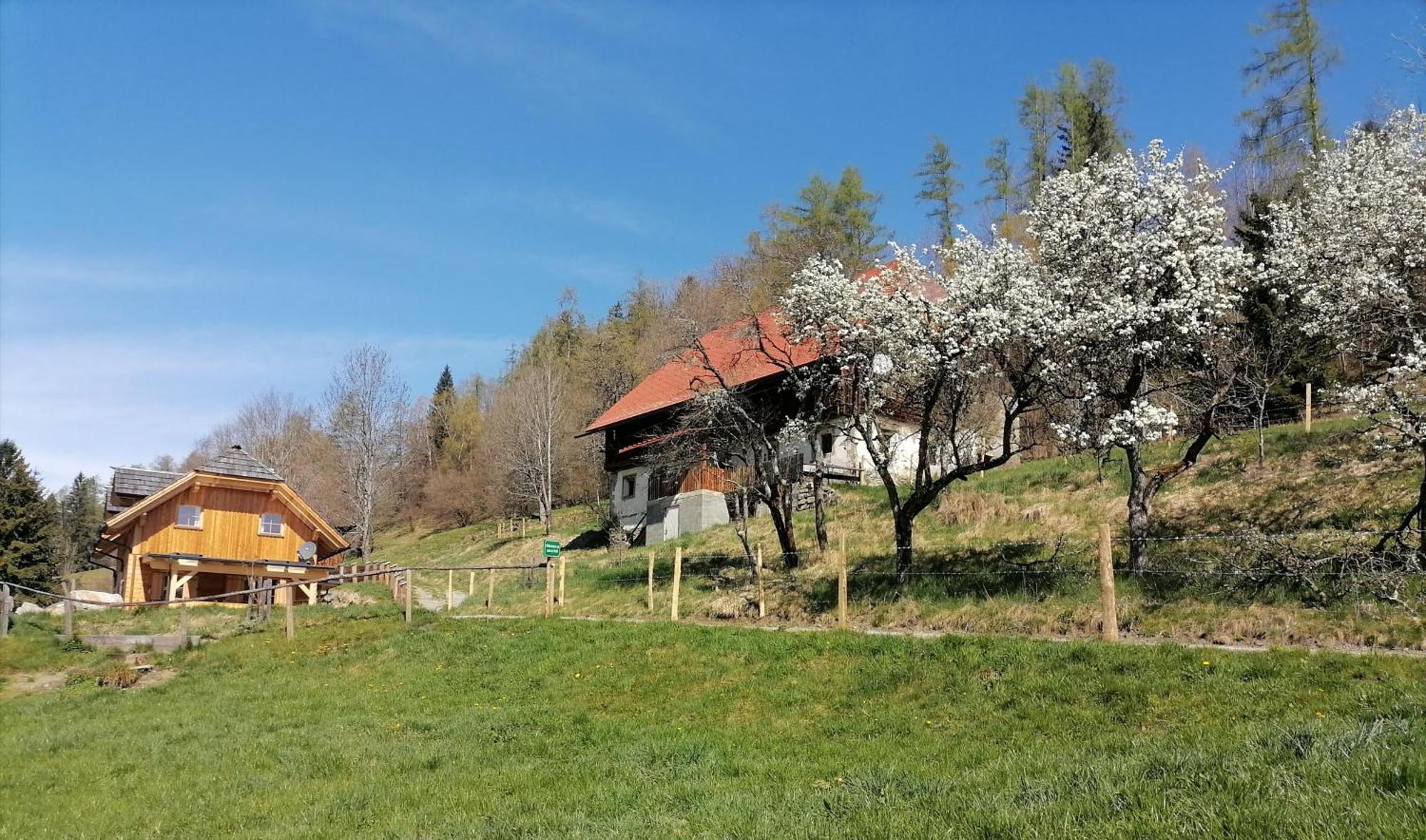 Laerchenhaus ,,Unterer Brodl" Villa Sankt Peter am Kammersberg Kültér fotó