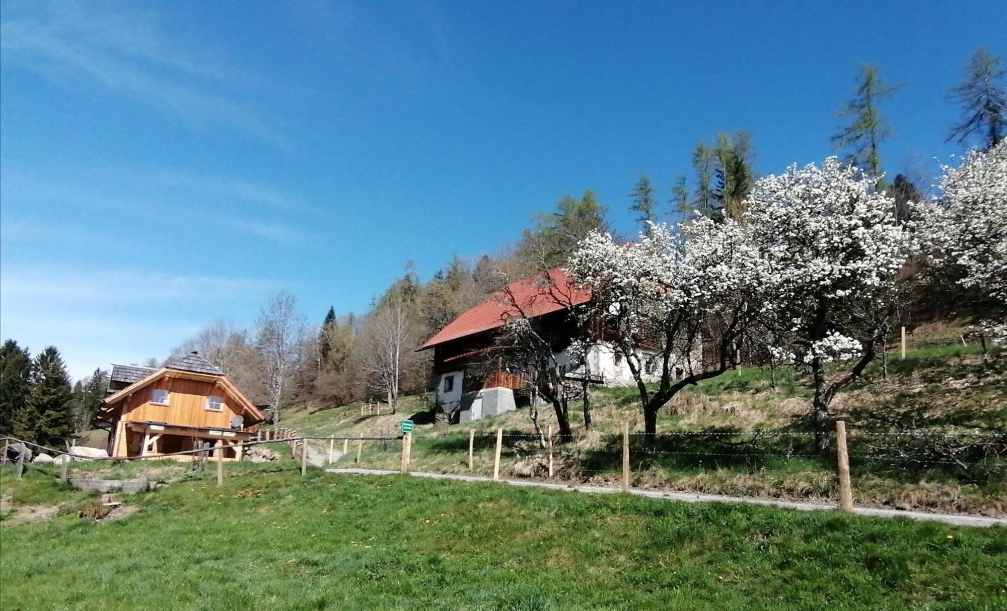 Laerchenhaus ,,Unterer Brodl" Villa Sankt Peter am Kammersberg Kültér fotó