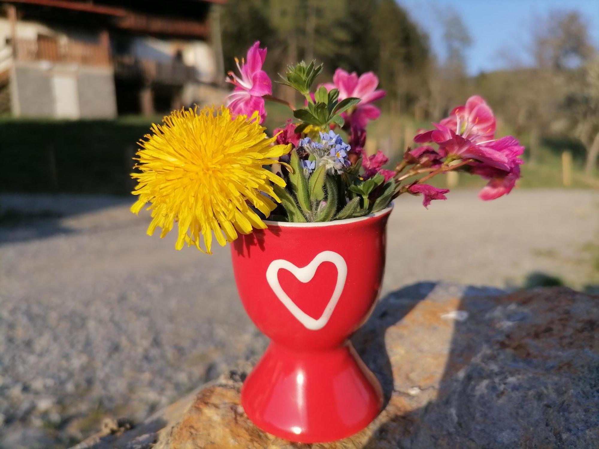 Laerchenhaus ,,Unterer Brodl" Villa Sankt Peter am Kammersberg Kültér fotó