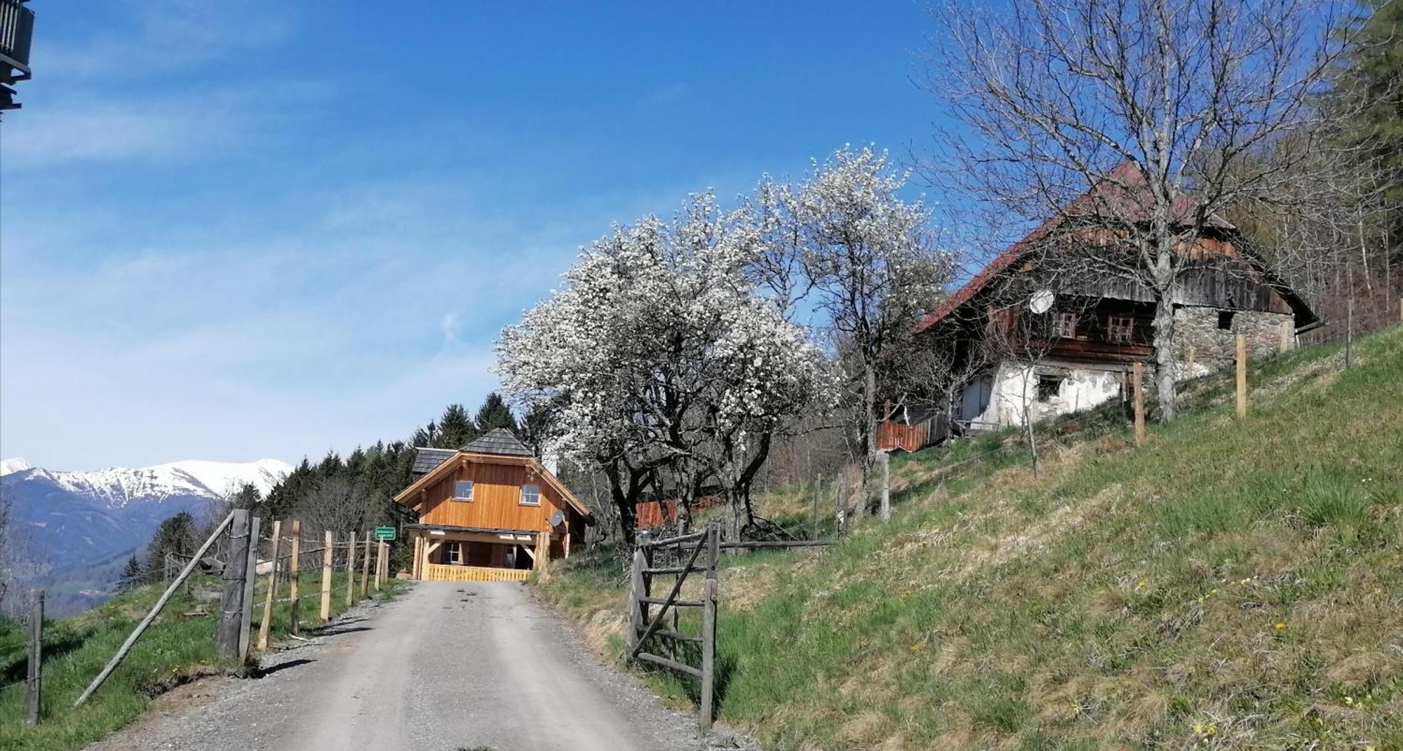 Laerchenhaus ,,Unterer Brodl" Villa Sankt Peter am Kammersberg Kültér fotó