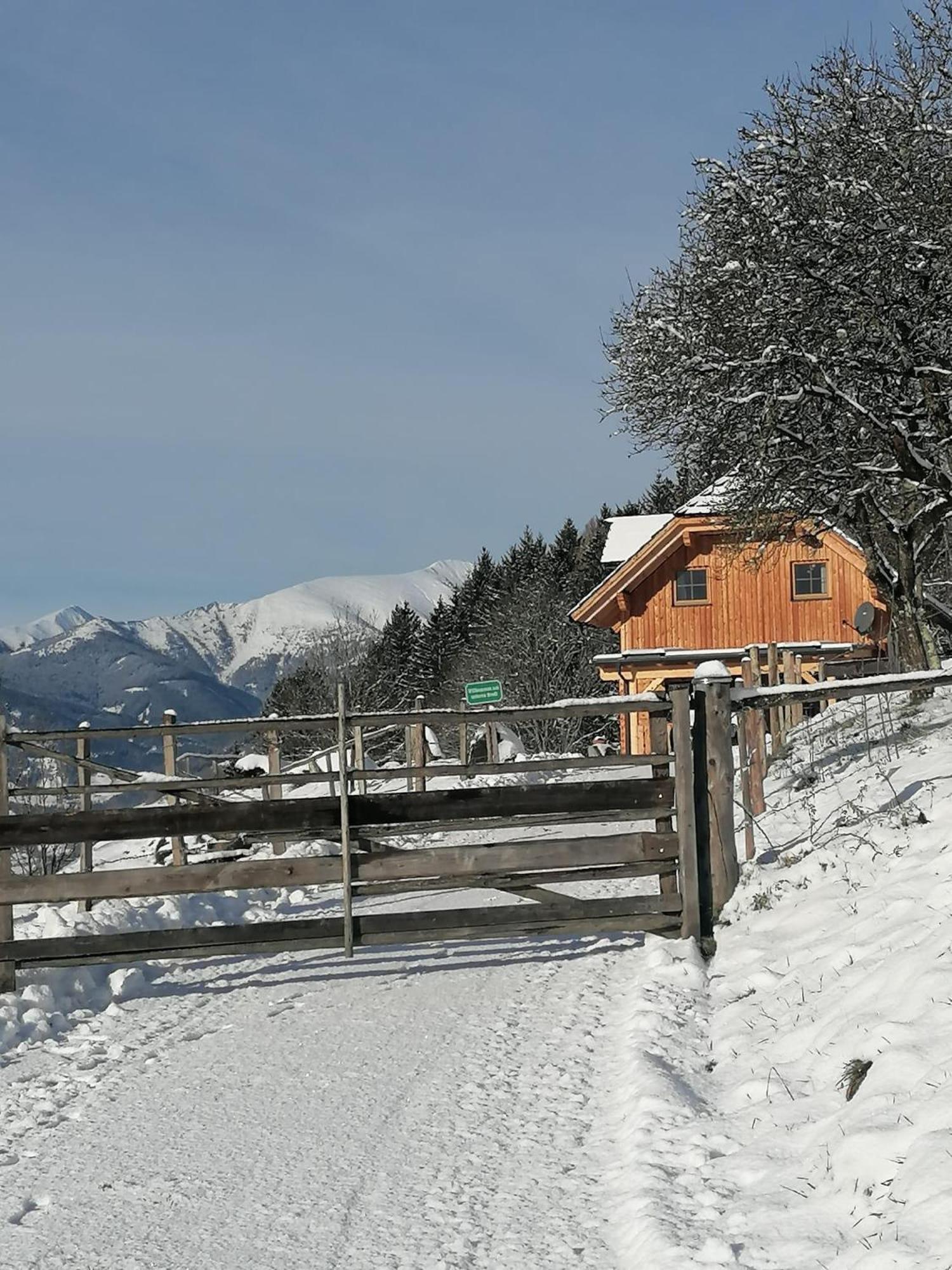 Laerchenhaus ,,Unterer Brodl" Villa Sankt Peter am Kammersberg Kültér fotó